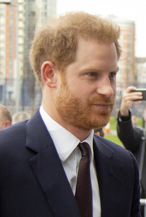Prince Harry, Duke of Sussex, 2020. CC BY 2.0