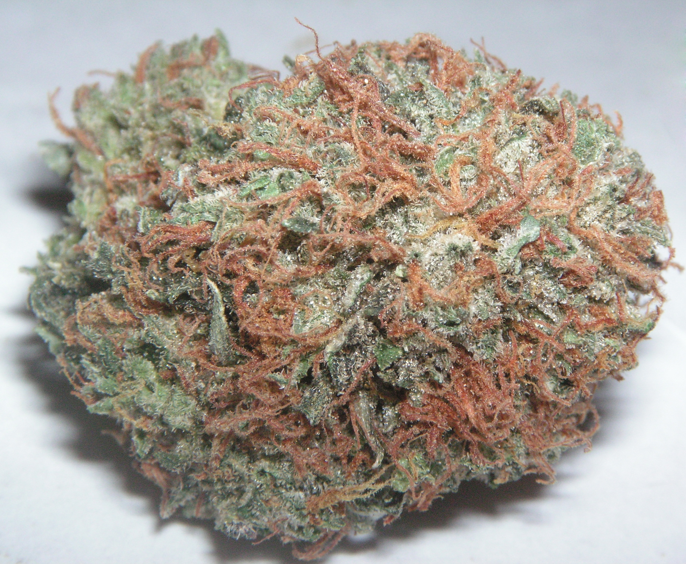 Bubba Kush — wysuszony kwiat
