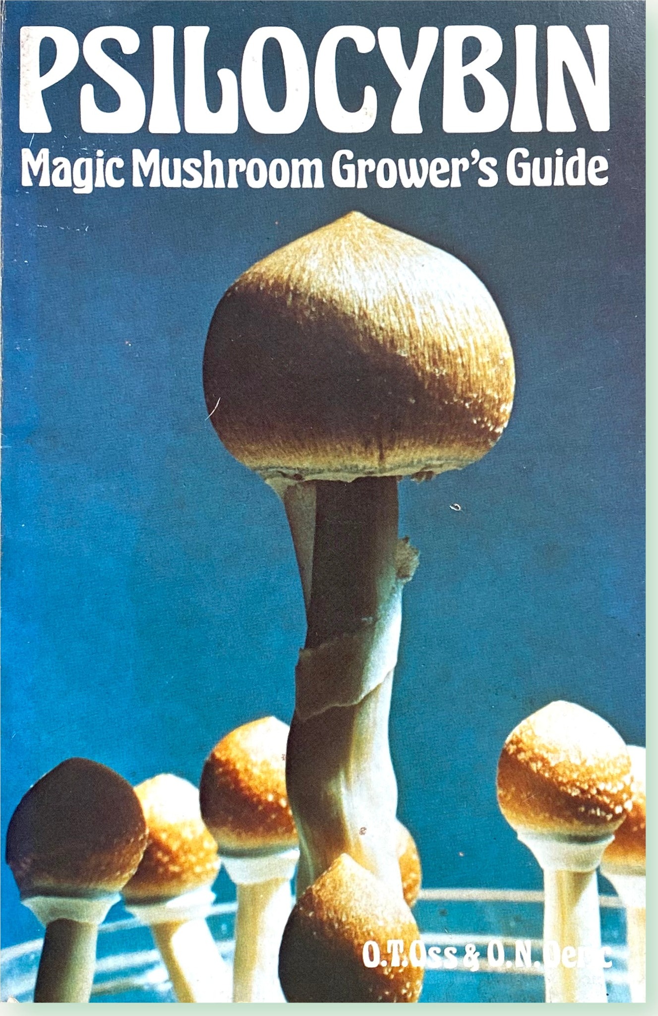 Okładka Psilocybin: Magic Mushroom Grower's Guide (1976)